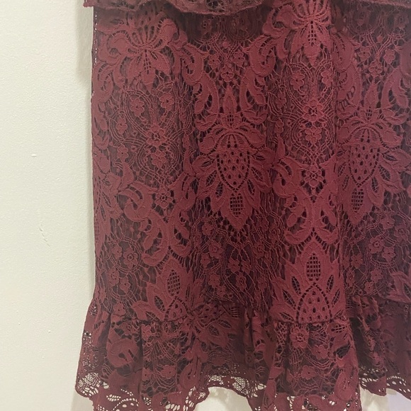 BB Dakota RSVP Lace Dress - Picture 7 of 15